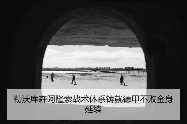 勒沃库森阿隆索战术体系铸就德甲不败金身延续
