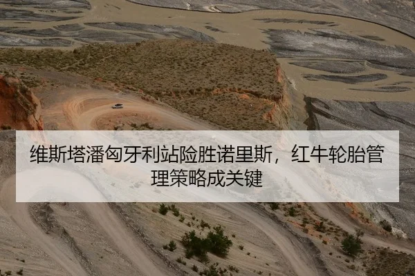 维斯塔潘匈牙利站险胜诺里斯，红牛轮胎管理策略成关键