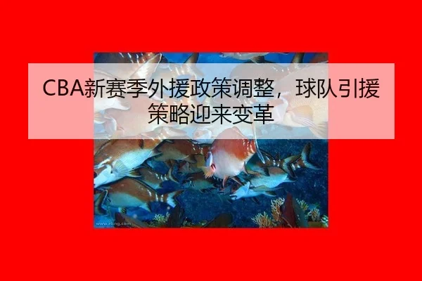 CBA新赛季外援政策调整，球队引援策略迎来变革