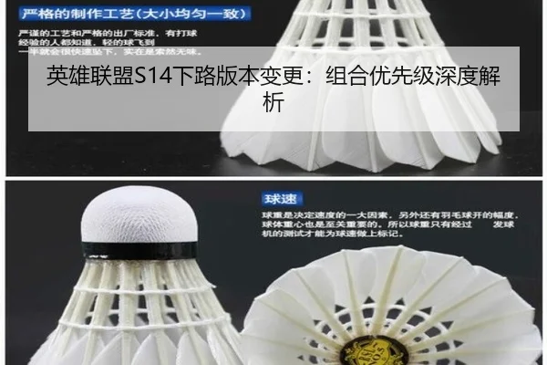 英雄联盟S14下路版本变更：组合优先级深度解析